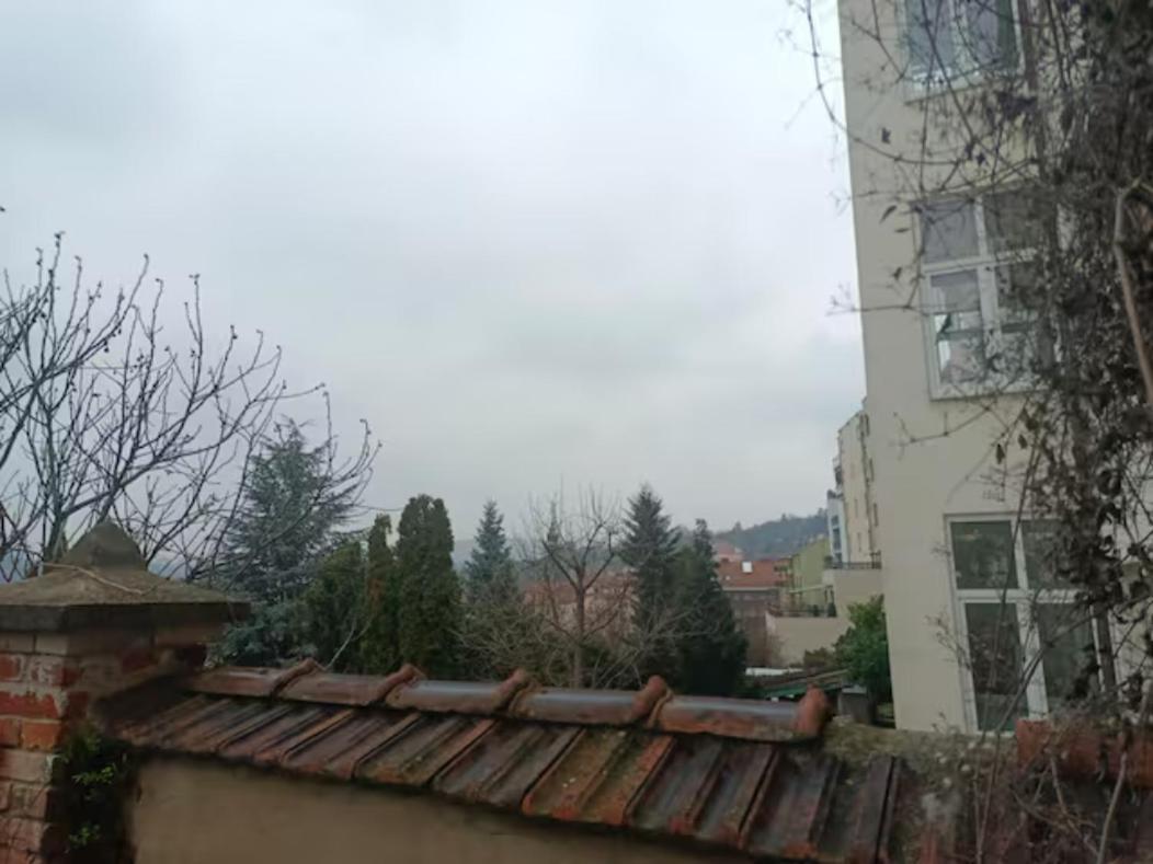 Byt S Terasou A Zahradou Brno Exterior photo